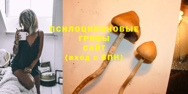 соль ск Володарск