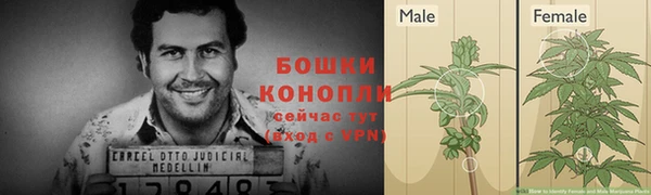 СК Волосово