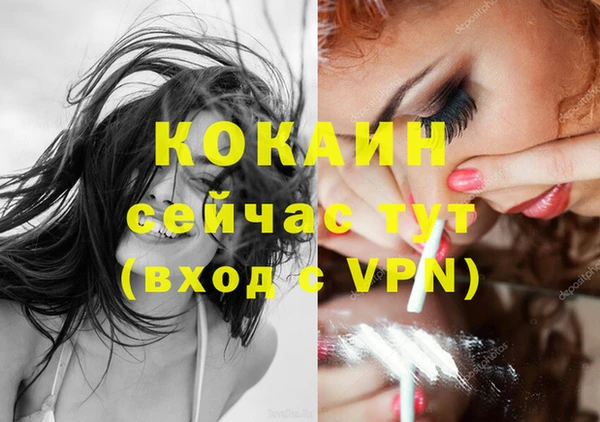 СК Волосово