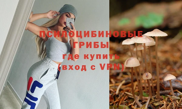 СК Волосово