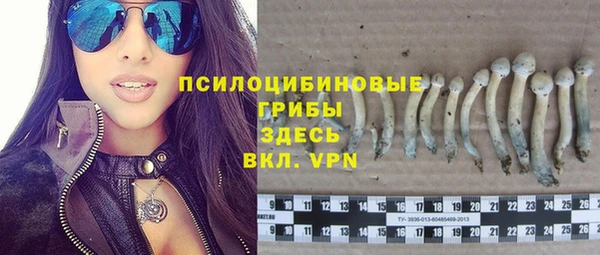 соль ск Володарск